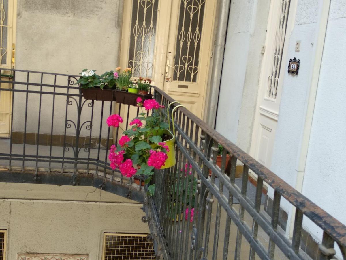 A Quiet Studio In The Heart Of The City Budapest Exteriör bild