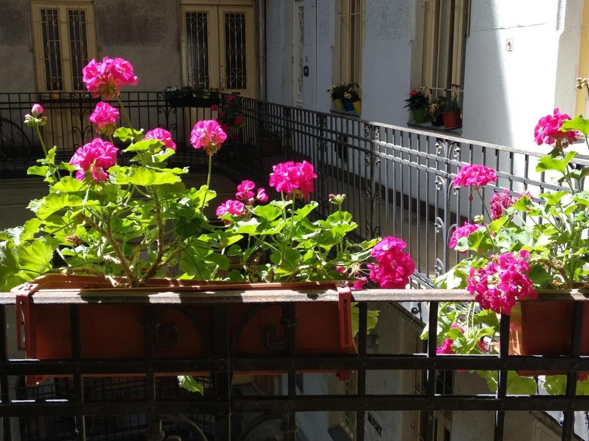 A Quiet Studio In The Heart Of The City Budapest Exteriör bild